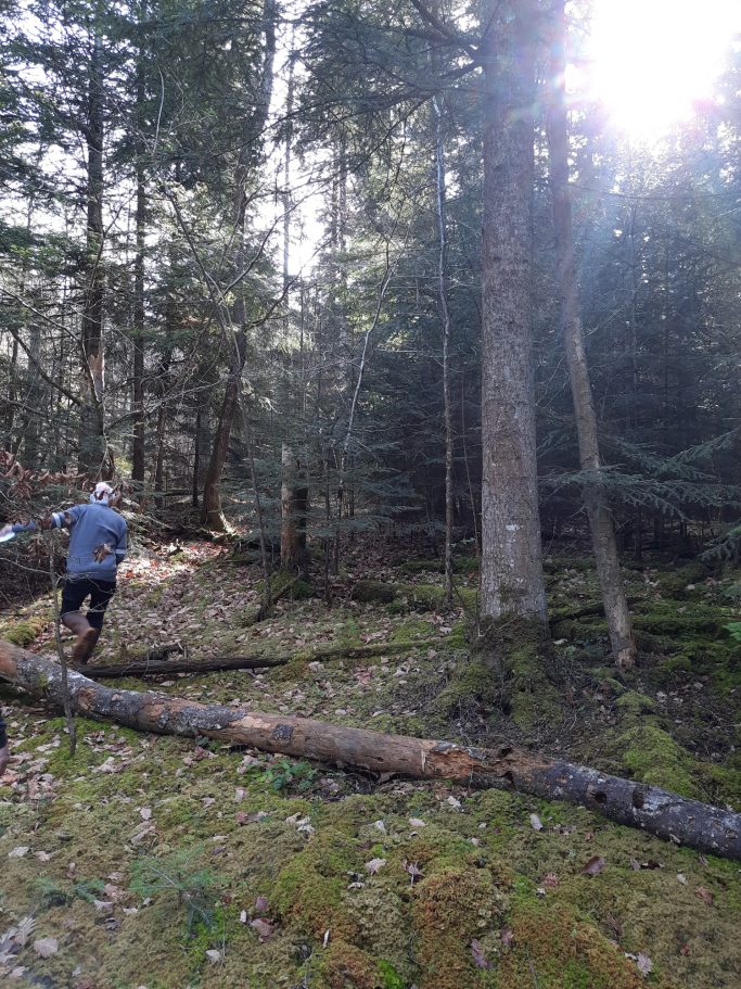 Visite d'une parcelle de Douglas/Sapins pour un client acheteur, Beurrières - 63
